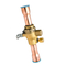 горячий регулятор компонентов теплообменного аппарата клапана обводного газохода 4.2Mpa для Discharging давление